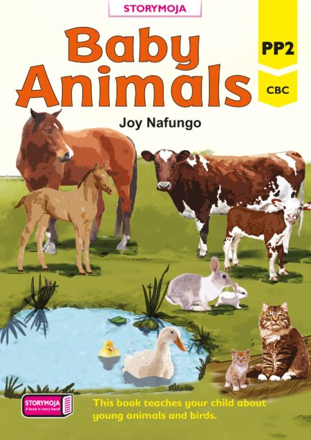 Baby Animals