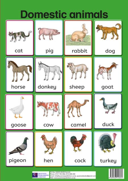 Premier Domestic Animals