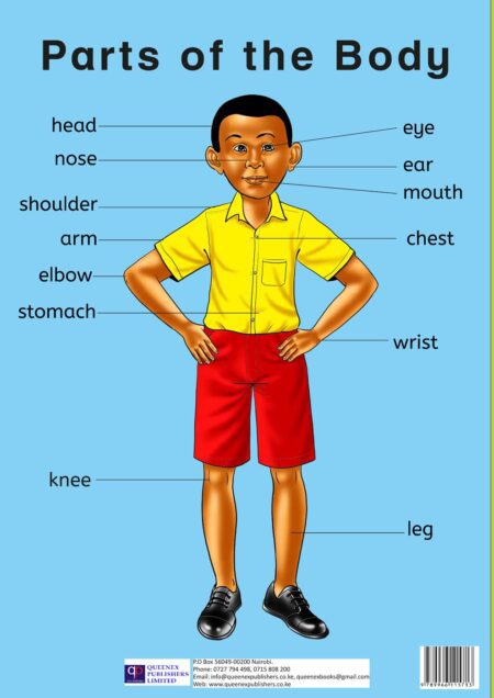Premier Parts of the Body ‐ Boy